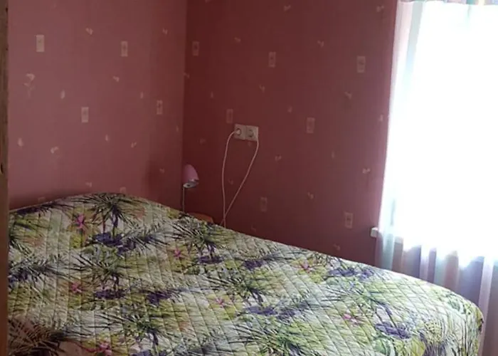 홈스테이 Netoli Parko